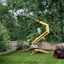 Best Fruit Tree Pruning  in Sumrall, MS